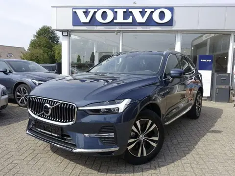 Used VOLVO XC60 Hybrid 2023 Ad 