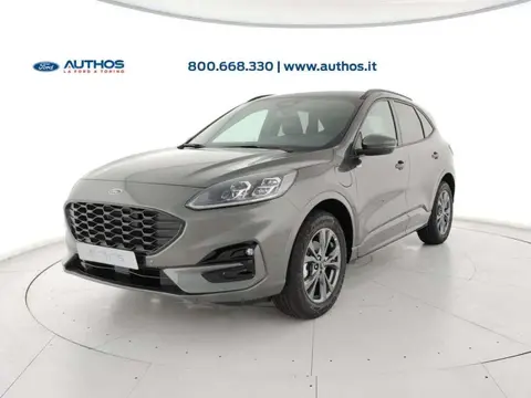 Used FORD KUGA Hybrid 2024 Ad 