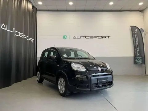 Used FIAT PANDA Hybrid 2024 Ad 