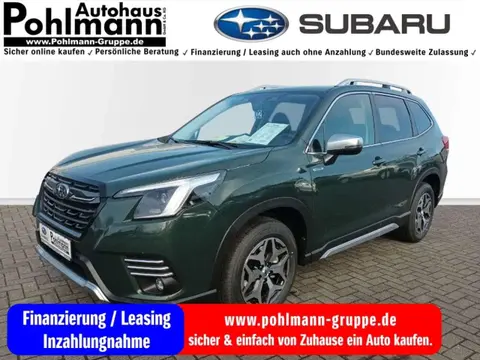 Used SUBARU FORESTER Petrol 2024 Ad 