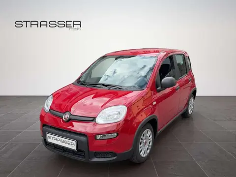 Annonce FIAT PANDA Essence 2024 d'occasion 