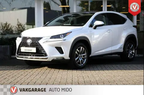 Used LEXUS NX Hybrid 2020 Ad 