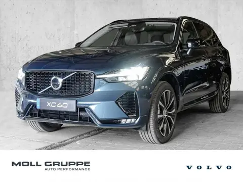 Annonce VOLVO XC60 Diesel 2024 d'occasion 