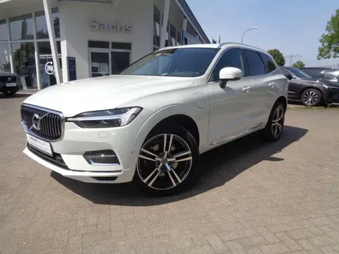 Used VOLVO XC60 Hybrid 2021 Ad 