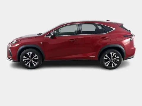 Used LEXUS NX Hybrid 2019 Ad 