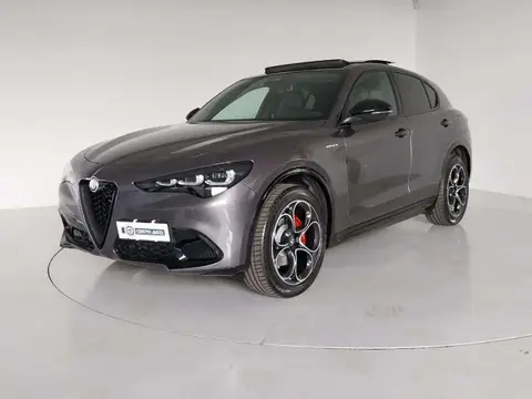 Annonce ALFA ROMEO STELVIO Diesel 2024 d'occasion 