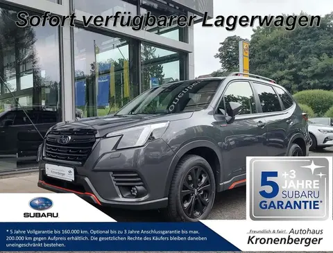 Used SUBARU FORESTER Petrol 2024 Ad 