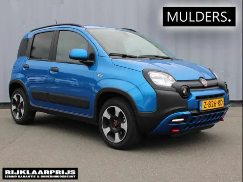 Annonce FIAT PANDA Hybride 2024 d'occasion 