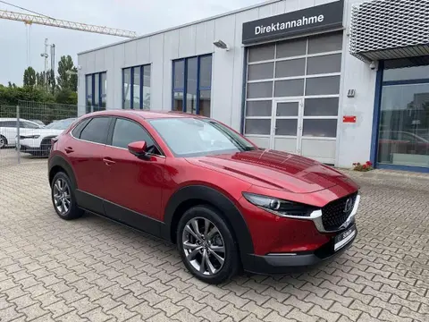 Annonce MAZDA CX-30 Hybride 2021 d'occasion 