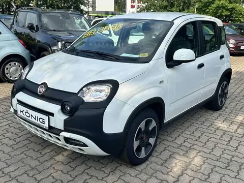 Annonce FIAT PANDA Essence 2023 d'occasion 