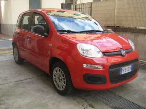 Used FIAT PANDA Petrol 2018 Ad 