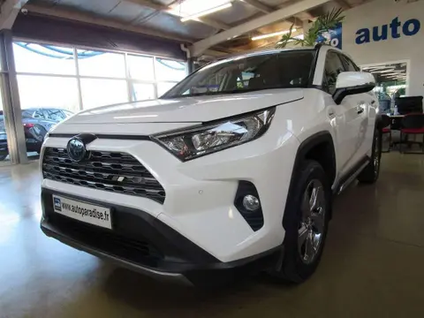 Used TOYOTA RAV4 Hybrid 2019 Ad 