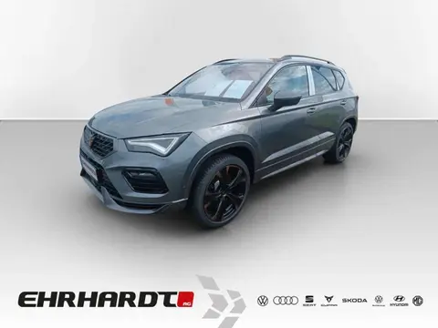 Annonce CUPRA ATECA Essence 2024 d'occasion 