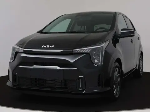 Annonce KIA PICANTO Essence 2024 d'occasion 