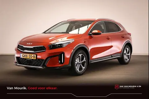 Annonce KIA XCEED Hybride 2024 d'occasion 