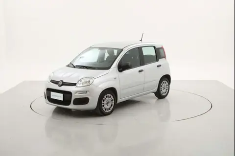 Used FIAT PANDA Hybrid 2021 Ad 