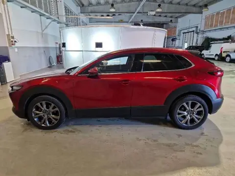 Annonce MAZDA CX-30 Hybride 2020 d'occasion 