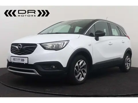 Annonce OPEL CROSSLAND Essence 2019 d'occasion 