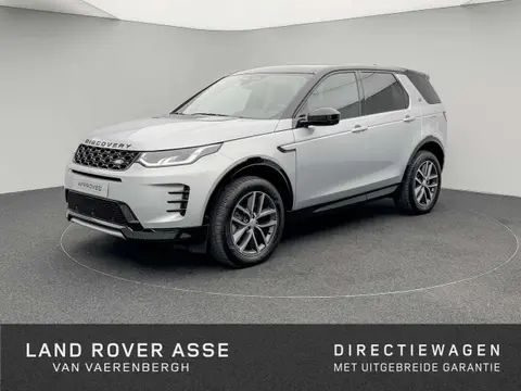 Used LAND ROVER DISCOVERY Hybrid 2024 Ad 