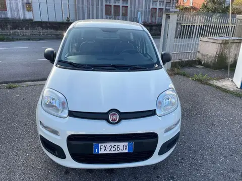 Used FIAT PANDA Petrol 2019 Ad 