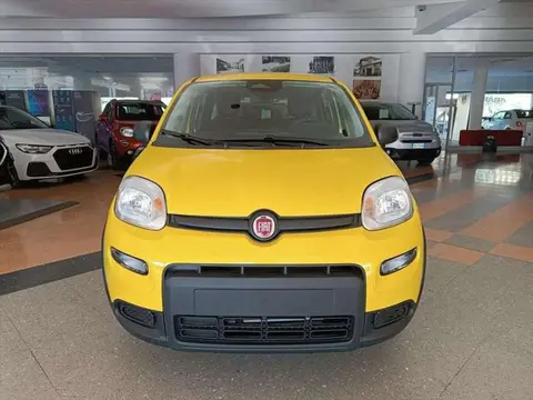 Annonce FIAT PANDA Hybride 2024 d'occasion 