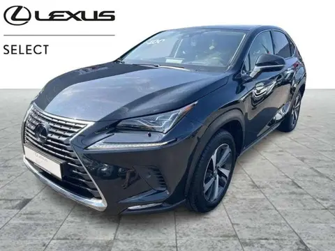 Annonce LEXUS NX  2020 d'occasion 