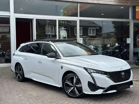 Annonce PEUGEOT 308 Essence 2023 d'occasion 