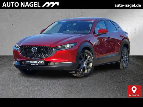 Annonce MAZDA CX-30 Essence 2020 d'occasion 