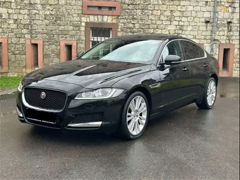 Used JAGUAR XF Diesel 2017 Ad 