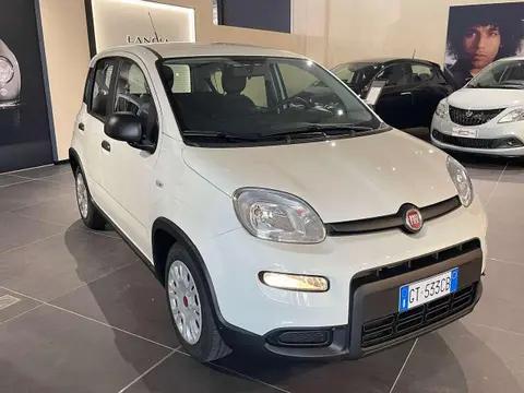 Annonce FIAT PANDA GPL 2024 d'occasion 