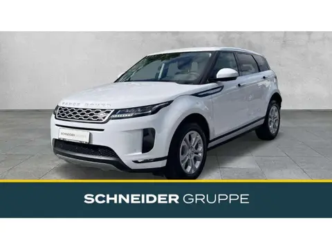 Used LAND ROVER RANGE ROVER EVOQUE Diesel 2020 Ad 