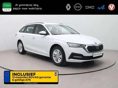 Used SKODA OCTAVIA Petrol 2021 Ad 