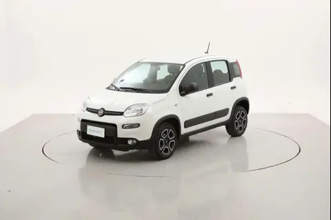 Annonce FIAT PANDA  2021 d'occasion 