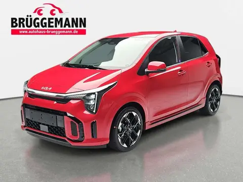 Used KIA PICANTO Petrol 2024 Ad 