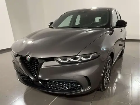 Annonce ALFA ROMEO TONALE Diesel 2024 d'occasion 