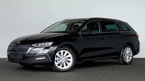 Annonce SKODA OCTAVIA Diesel 2024 d'occasion 