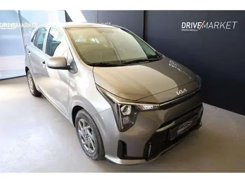 Annonce KIA PICANTO Essence 2024 d'occasion 