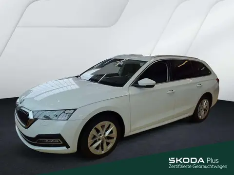 Used SKODA OCTAVIA Diesel 2023 Ad 