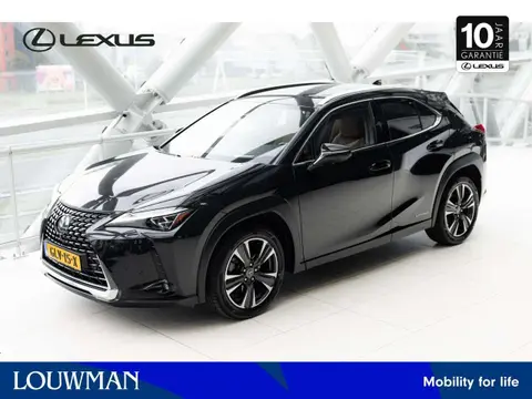 Used LEXUS UX Hybrid 2019 Ad 