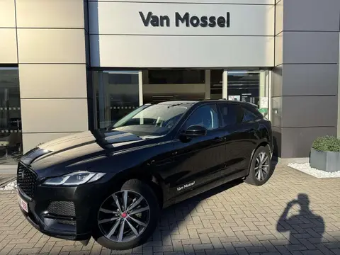 Used JAGUAR F-PACE Diesel 2023 Ad 