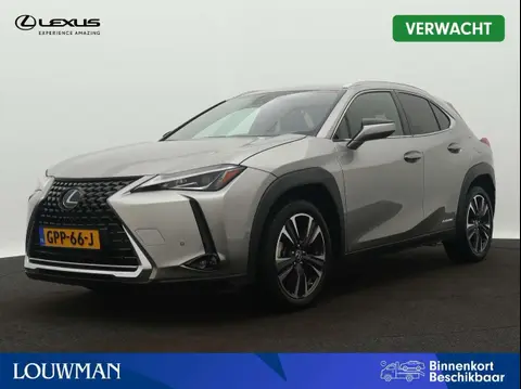 Used LEXUS UX Hybrid 2019 Ad 