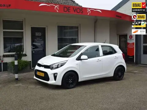 Annonce KIA PICANTO Essence 2022 d'occasion 