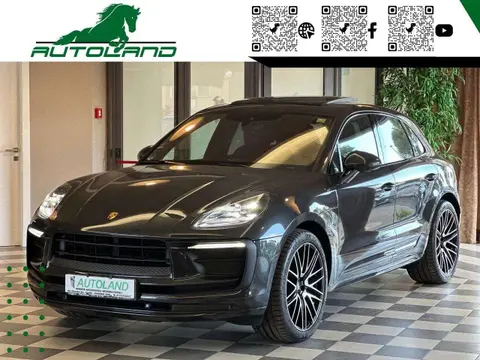 Used PORSCHE MACAN Petrol 2022 Ad 