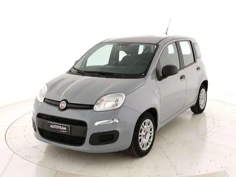 Used FIAT PANDA Hybrid 2022 Ad 