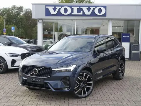 Annonce VOLVO XC60 Diesel 2024 d'occasion 