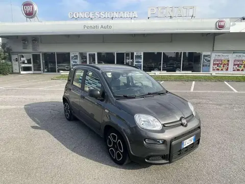 Annonce FIAT PANDA Hybride 2022 d'occasion 