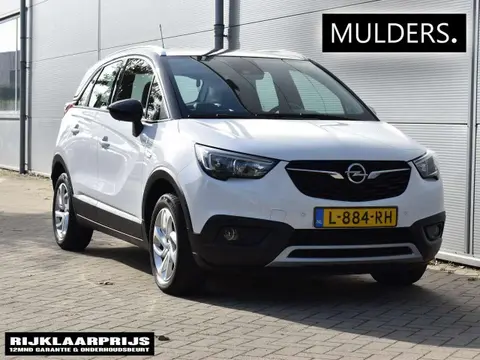 Annonce OPEL CROSSLAND Essence 2019 d'occasion 