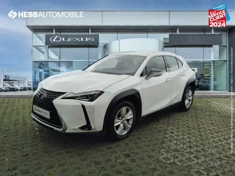 Annonce LEXUS UX  2021 d'occasion 