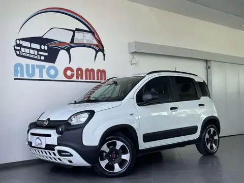 Used FIAT PANDA Hybrid 2021 Ad 