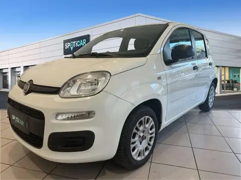 Annonce FIAT PANDA Essence 2015 d'occasion 